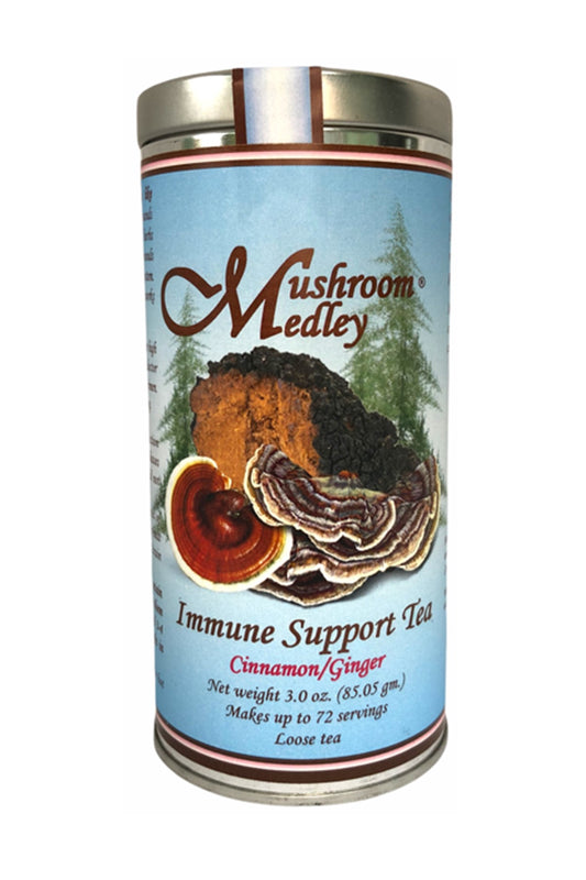 Immune Tea 🍵 – Mushroom Medley + Ginger Cinnamon